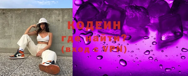 СК Няндома